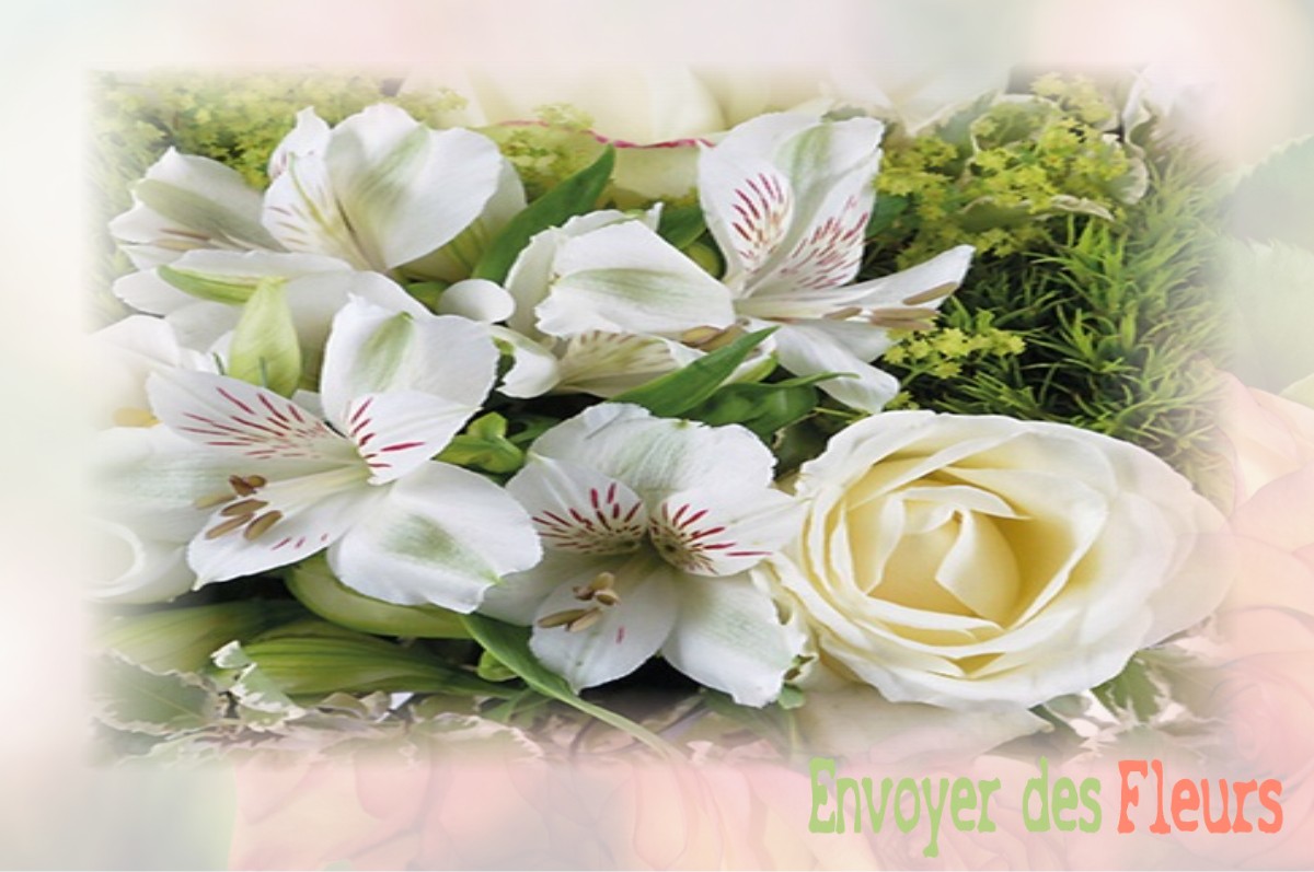 envoyer des fleurs à à LANEUVEVILLE-AUX-BOIS